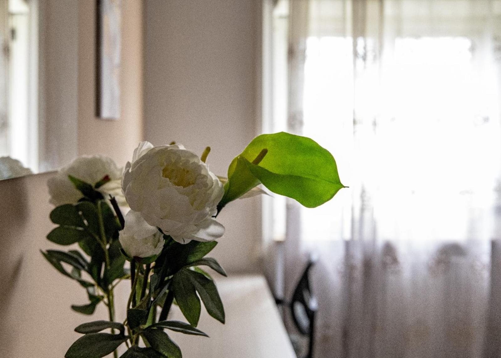 Apartament Madrigio... A Casa Propria Casamassima Zewnętrze zdjęcie